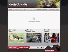 Tablet Screenshot of devilsatcradle.com